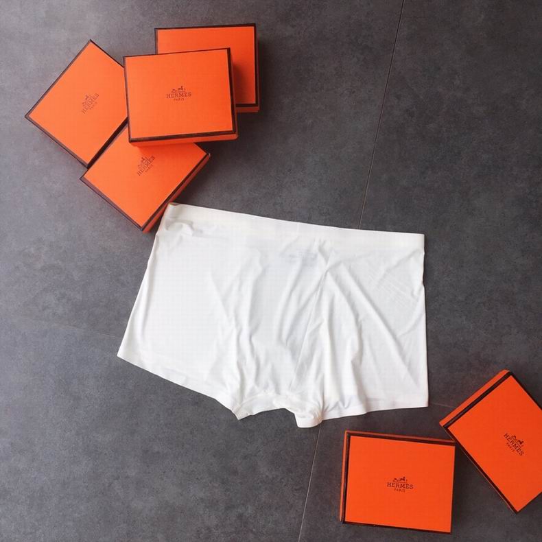 Hermes Boxer L-XXXL  (9)