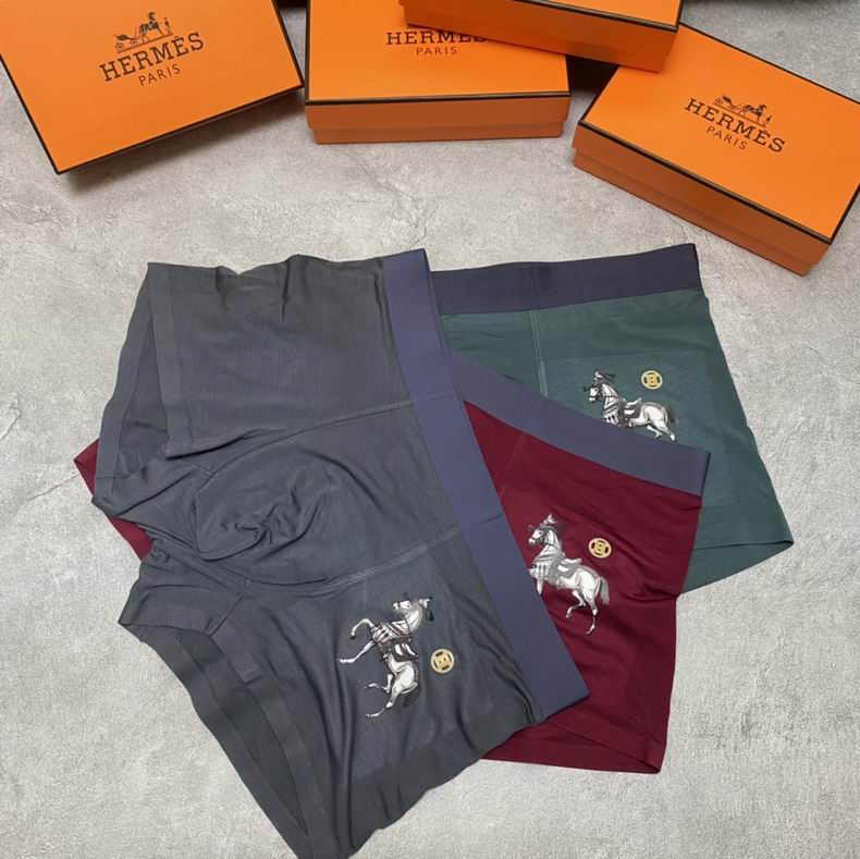Hermes Boxer L-XXXL  (9)