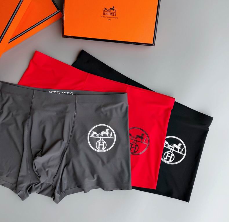 Hermes Boxer L-XXXL   (12)