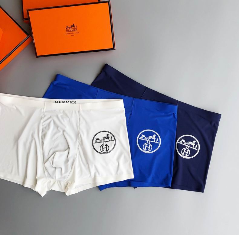 Hermes Boxer L-XXXL   (4)