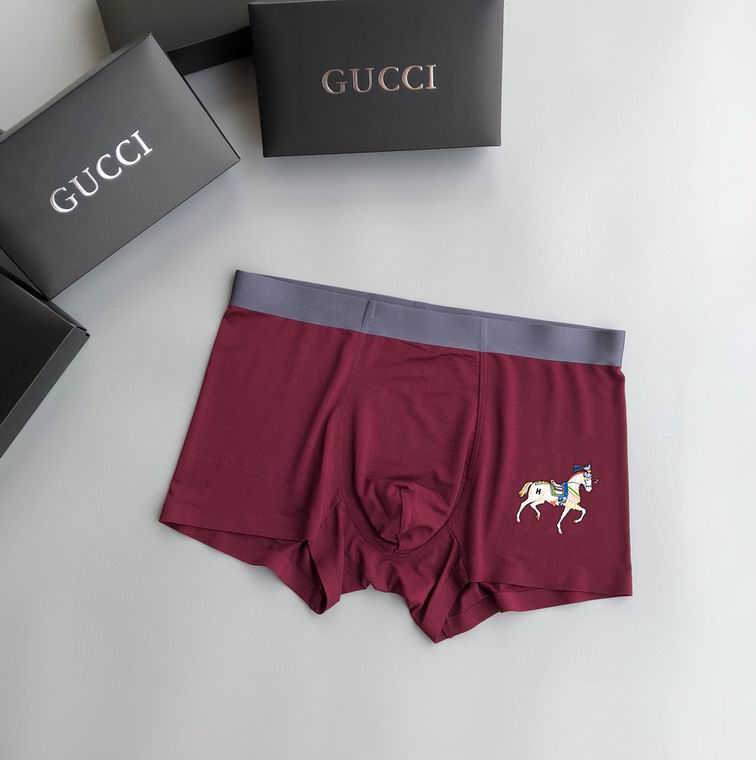 Hermes Boxer man L-3XL   (4)