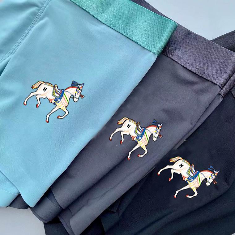 Hermes Boxer man L-3XL   (5)