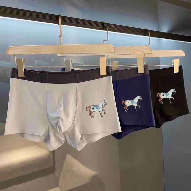 Hermes Boxer man L-3XL   (5)