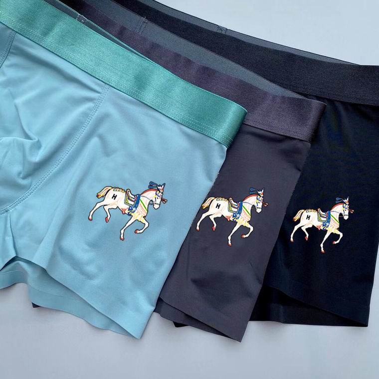 Hermes Boxer man L-3XL   (6)