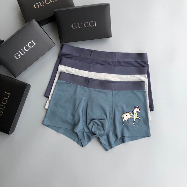 Hermes Boxer man L-3XL   (6)