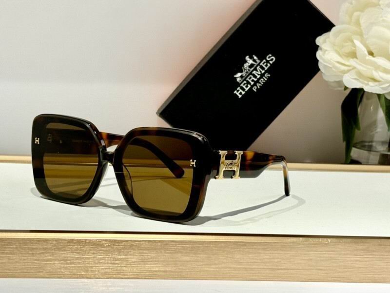 Hermes Glasses 08smh01 (1)
