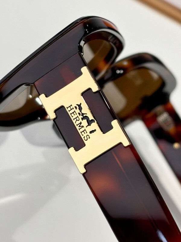 Hermes Glasses 08smh01 (5)