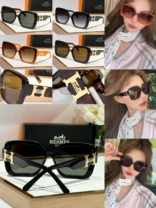 Hermes Glasses 08smh01 (6)
