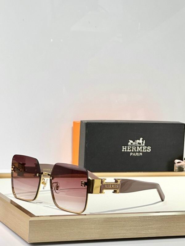 Hermes Glasses 08smh02 (5)