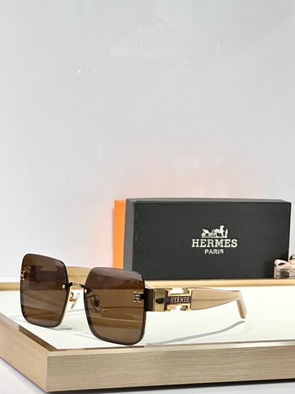 Hermes Glasses 08smh02 (6)