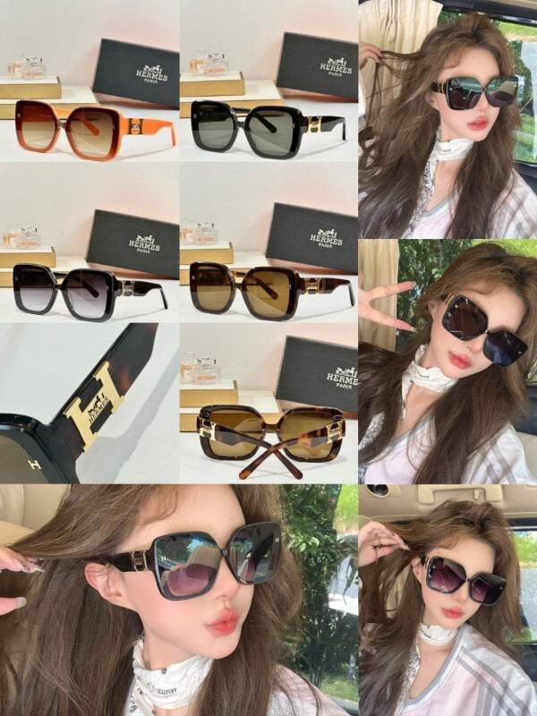 Hermes Glasses 08smh03 (10)