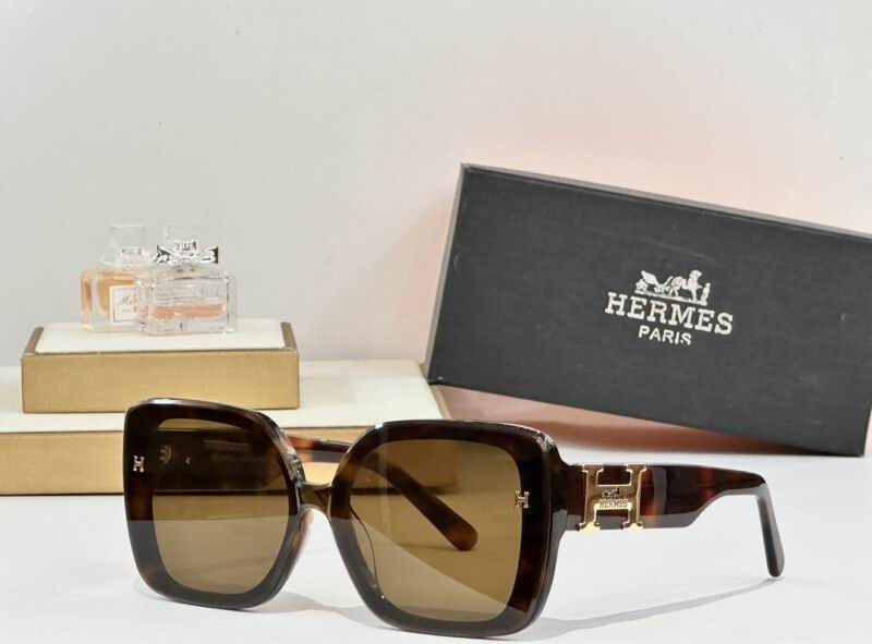 Hermes Glasses 08smh03 (3)