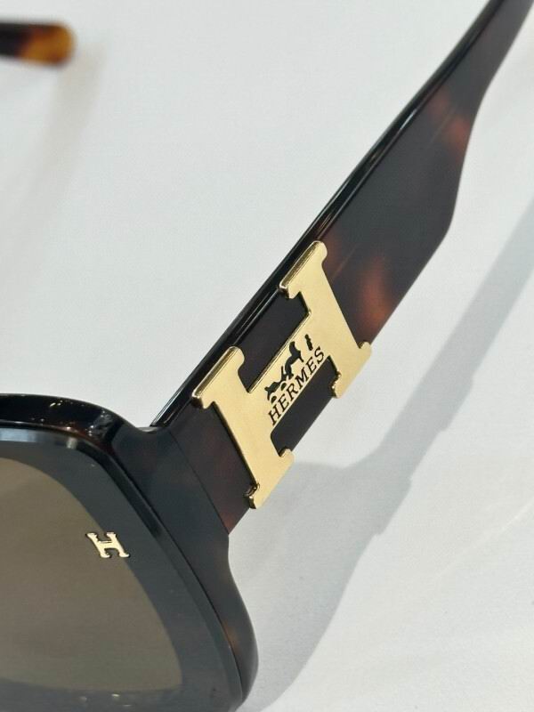 Hermes Glasses 08smh03 (5)