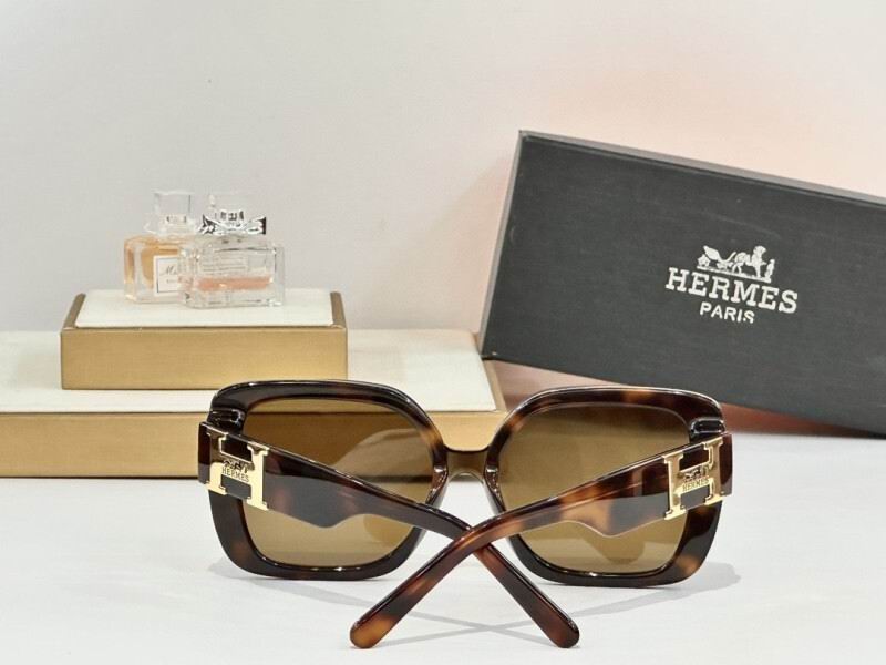 Hermes Glasses 08smh03 (9)