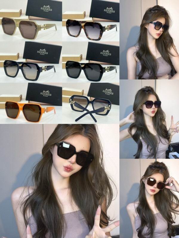 Hermes Glasses 08smh05 (10)