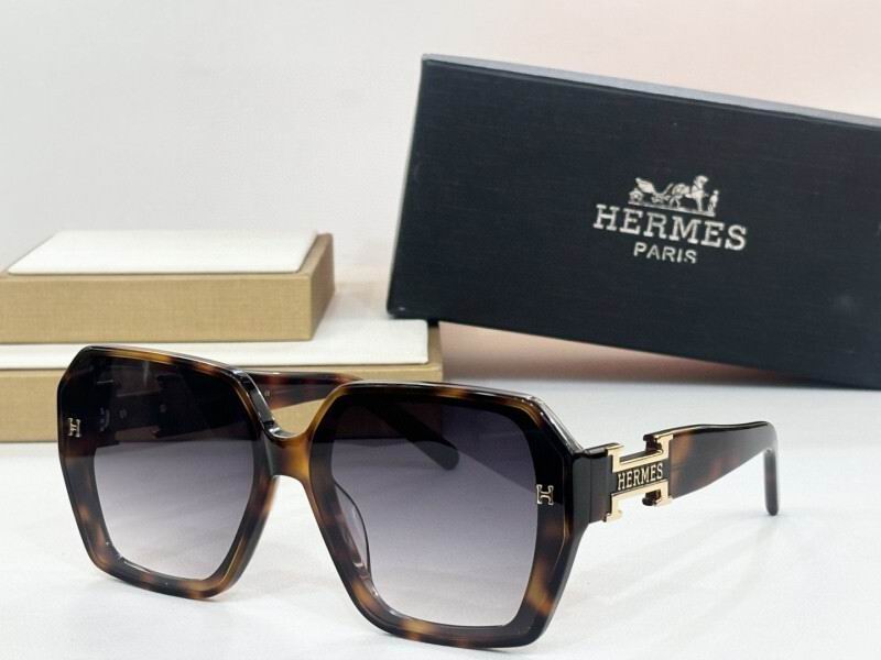 Hermes Glasses 08smh05 (2)