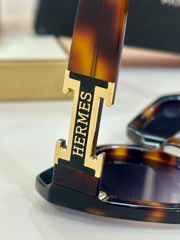 Hermes Glasses 08smh05 (6)