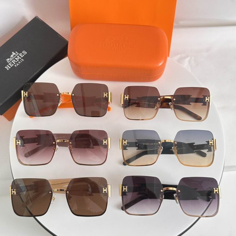 Hermes Glasses 08smh06 (10)