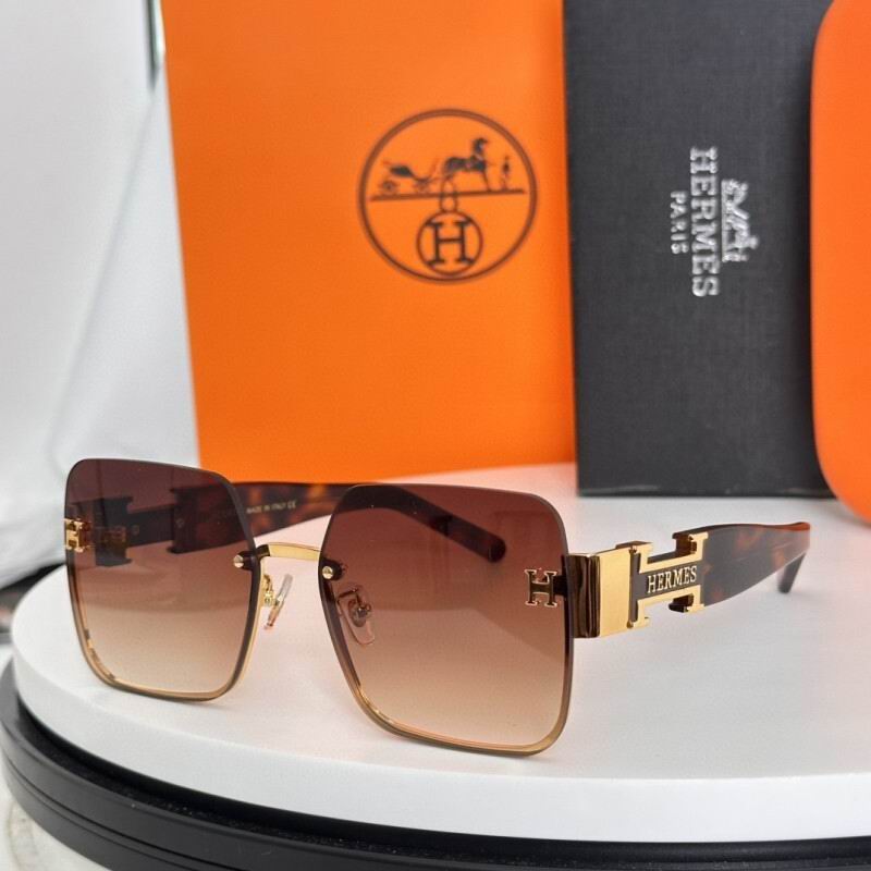 Hermes Glasses 08smh06 (2)