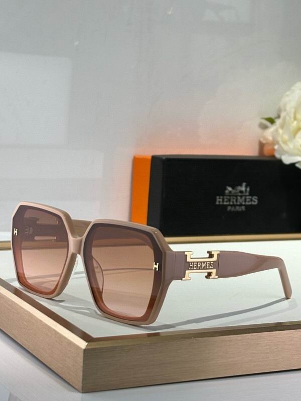 Hermes Glasses 08smh07 (6)