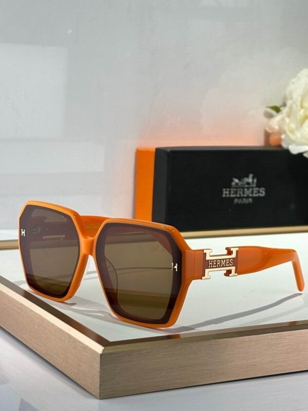Hermes Glasses 08smh07 (7)