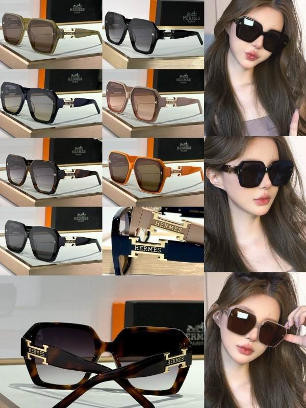 Hermes Glasses 08smh07 (8)