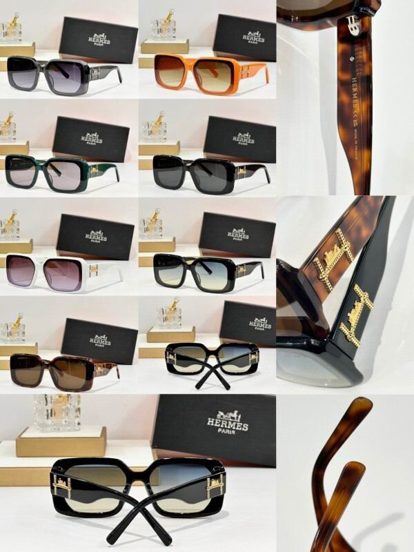 Hermes Glasses 08smh08 (10)