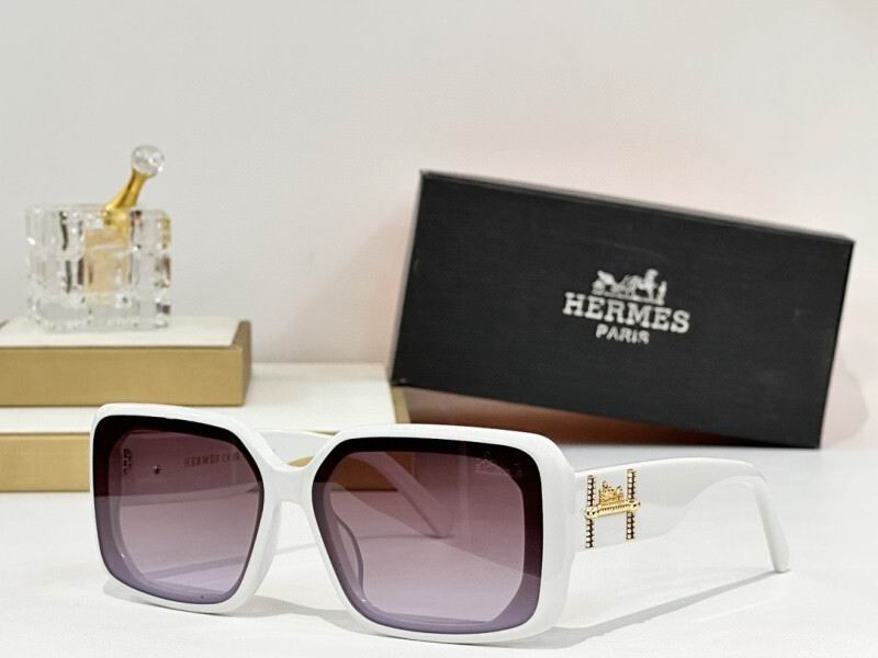 Hermes Glasses 08smh08 (2)