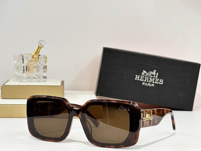 Hermes Glasses 08smh08 (5)