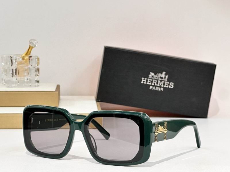 Hermes Glasses 08smh08 (6)