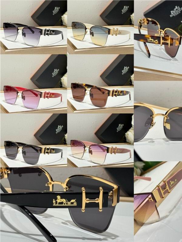 Hermes Glasses 08smh09 (10)