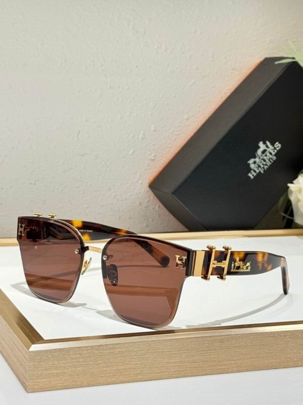 Hermes Glasses 08smh09 (4)