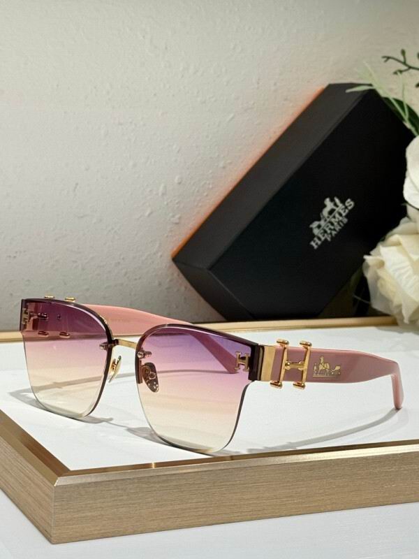 Hermes Glasses 08smh09 (6)