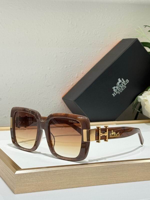 Hermes Glasses 08smh10 (1)