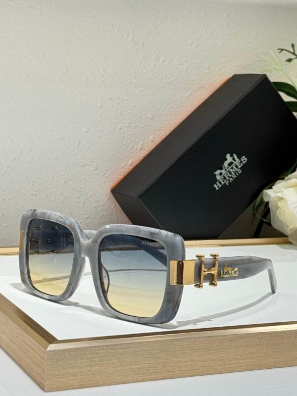 Hermes Glasses 08smh10 (2)