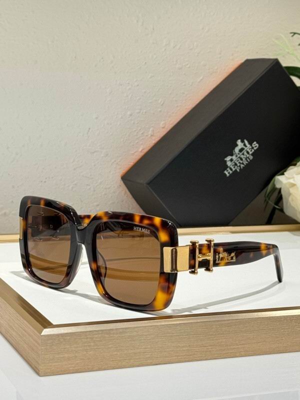 Hermes Glasses 08smh10 (3)