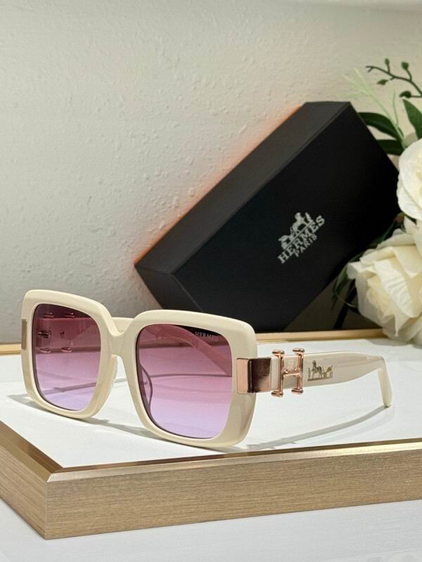 Hermes Glasses 08smh10 (4)