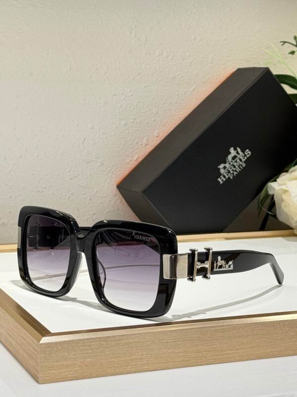 Hermes Glasses 08smh10 (6)