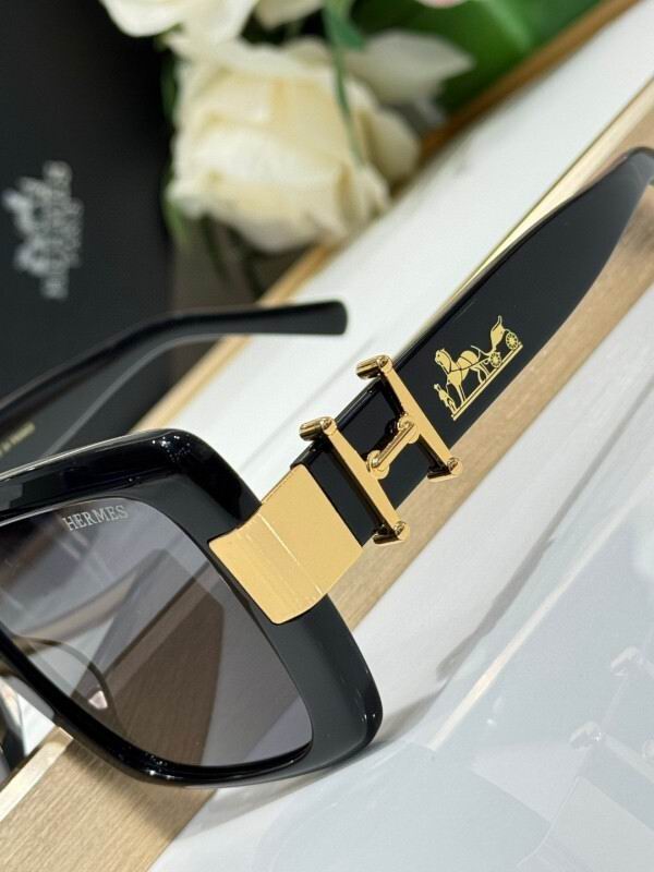 Hermes Glasses 08smh10 (7)