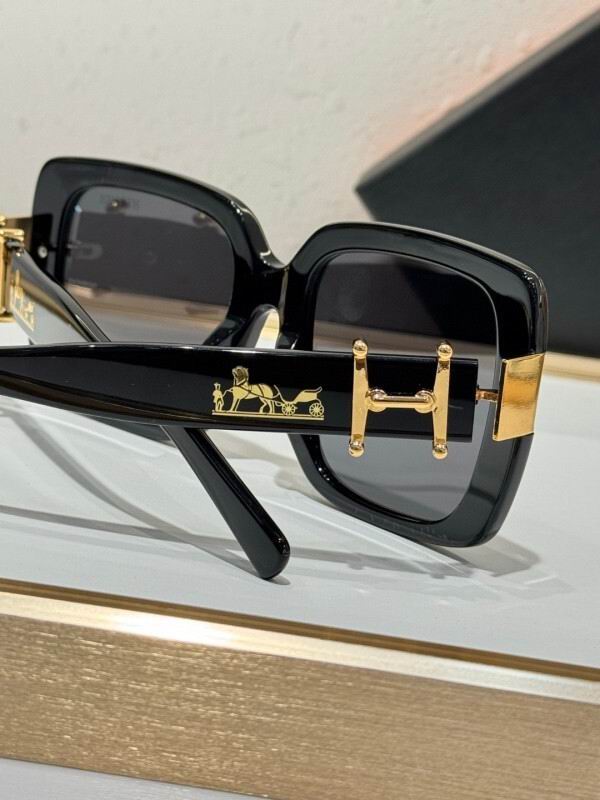 Hermes Glasses 08smh10 (8)