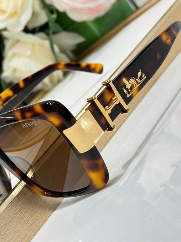 Hermes Glasses 08smh10 (9)