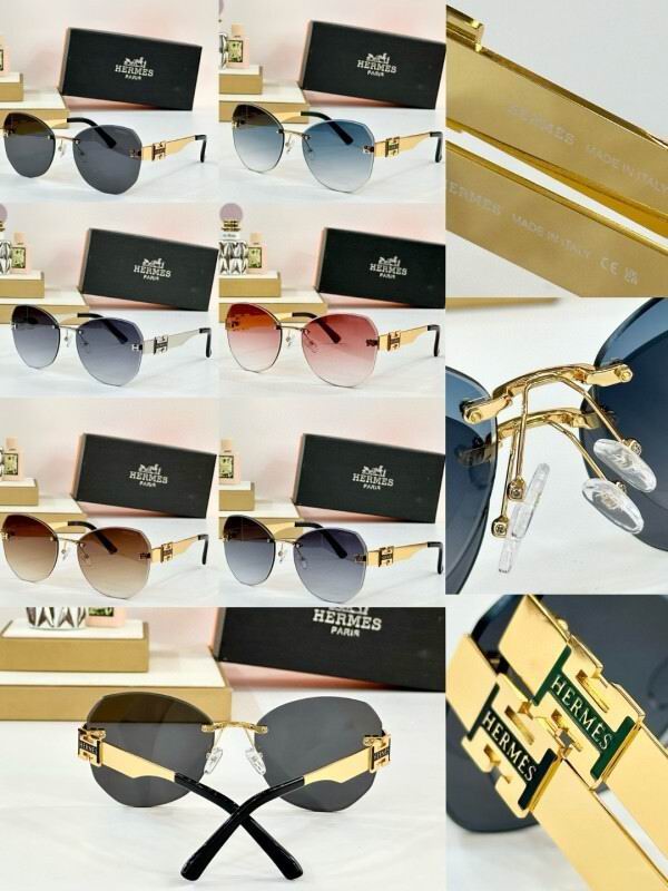 Hermes Glasses 08smh11 (10)