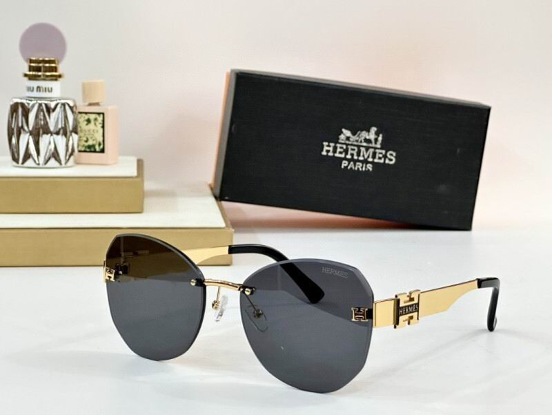 Hermes Glasses 08smh11 (5)