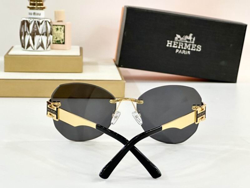 Hermes Glasses 08smh11 (6)