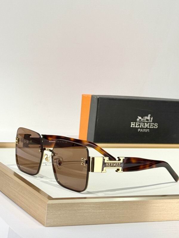 Hermes Glasses 08smh12 (5)