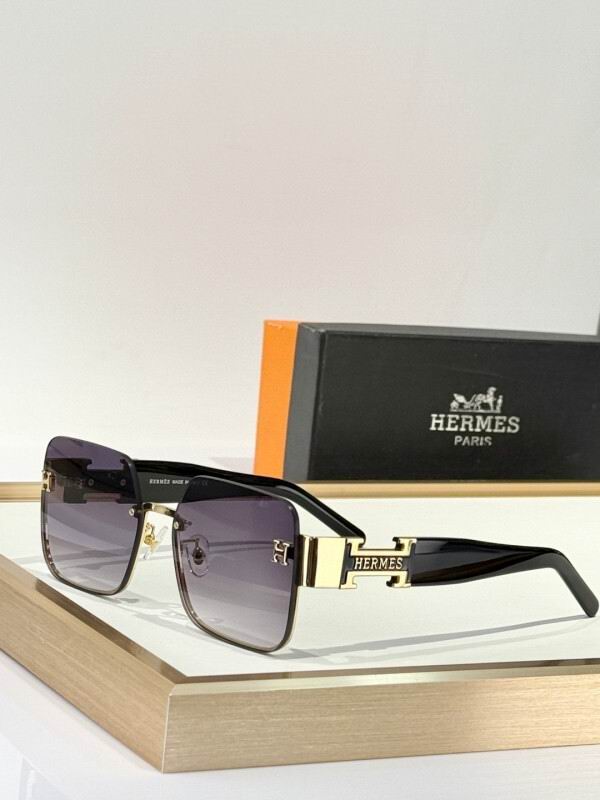 Hermes Glasses 08smh12 (9)