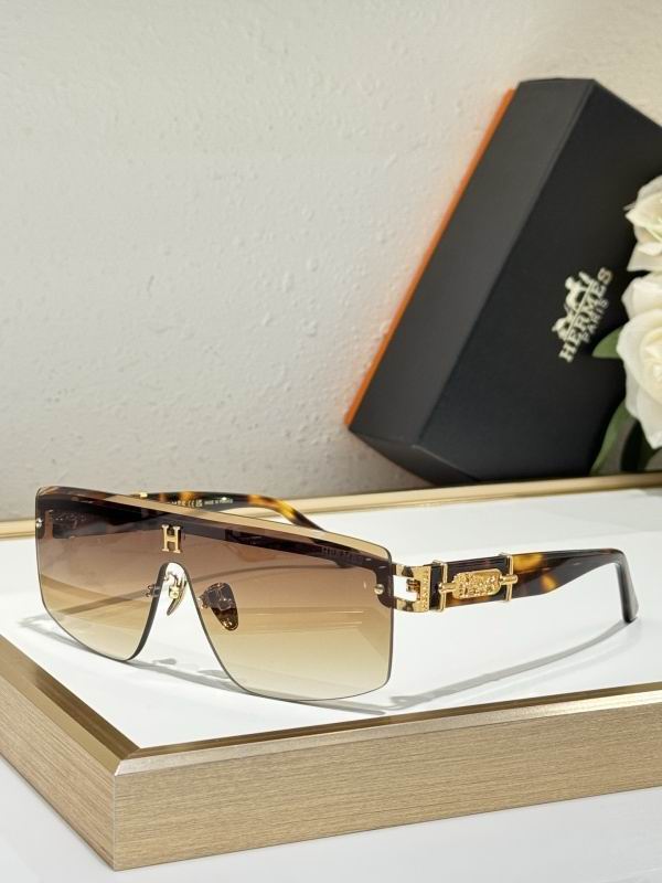 Hermes Glasses 08smh13 (5)