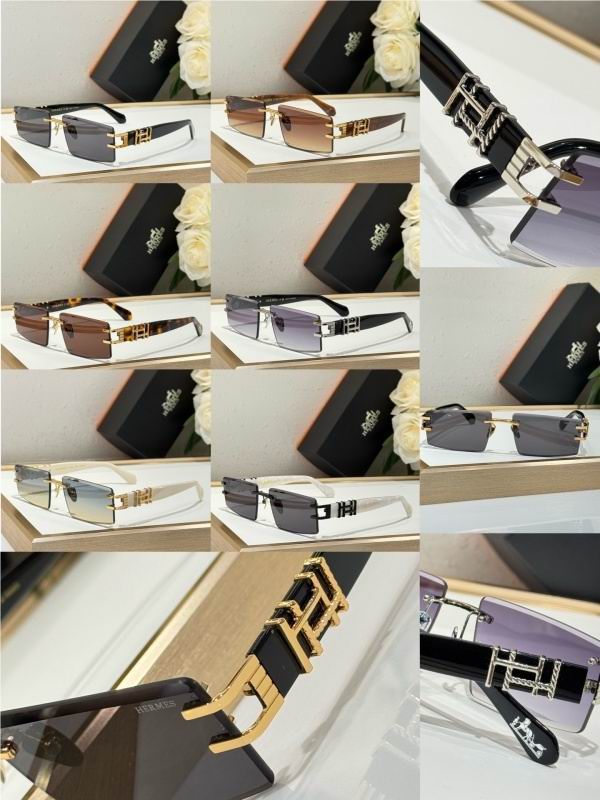 Hermes Glasses 08smh14 (10)