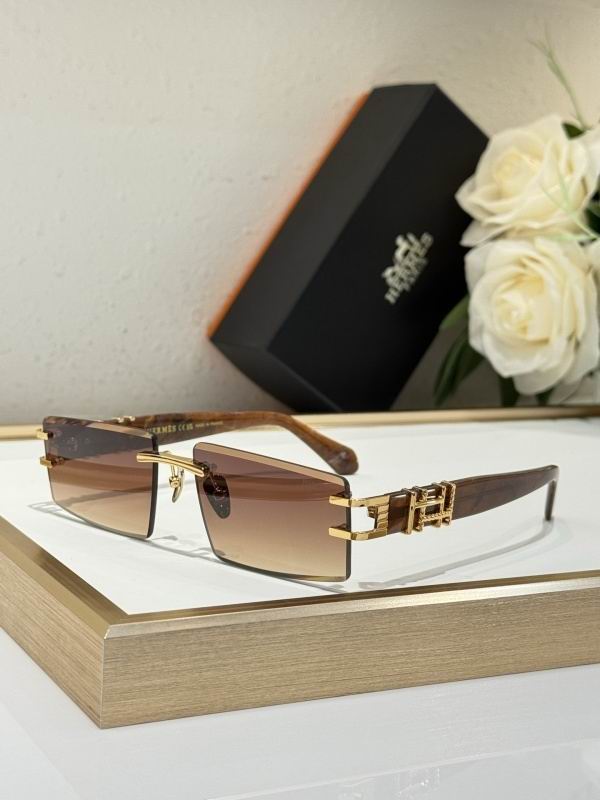 Hermes Glasses 08smh14 (2)