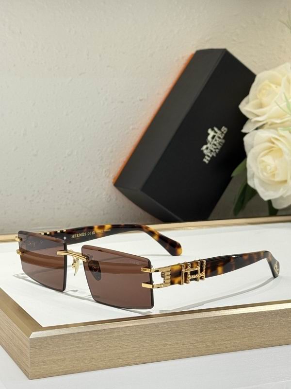 Hermes Glasses 08smh14 (4)